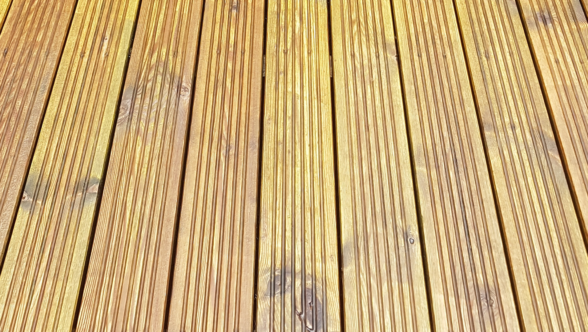 Ocean